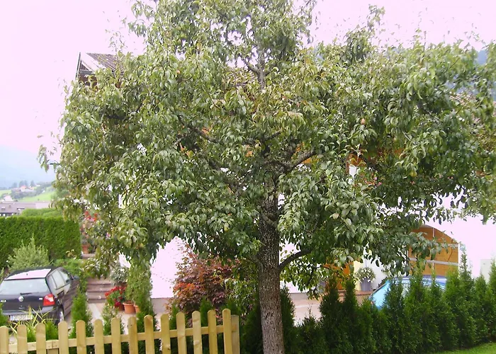 Haus Sonnenschein Flachau